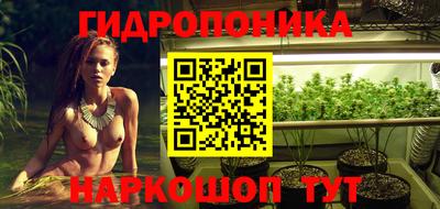 apvp Ярославль