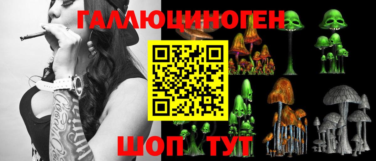 Артём  Галлюциногенные грибы прущие грибы  Вход с VPN 